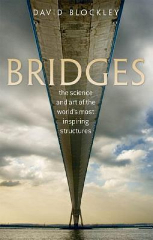 Carte Bridges David Blockley
