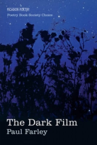 Kniha Dark Film Paul Farley