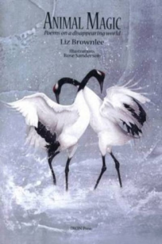 Kniha Animal Magic Liz Brownlee