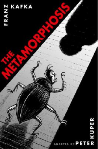 Könyv Metamorphosis: The Illustrated Edition Franz Kafka