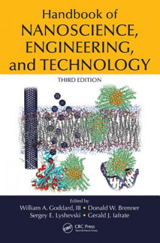 Carte Handbook of Nanoscience, Engineering, and Technology William A Goddard