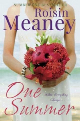 Kniha One Summer Roisin Meaney