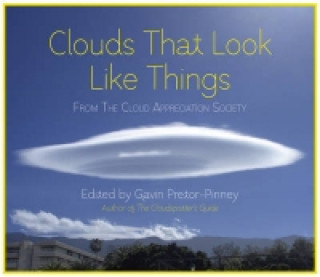 Kniha Clouds That Look Like Things Gavin Pretor-Pinney