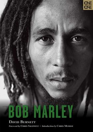 Kniha Bob Marley David Burnett