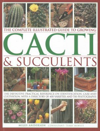 Könyv Complete Illustrated Guide to Growing Cacti and Succulents Miles Anderson