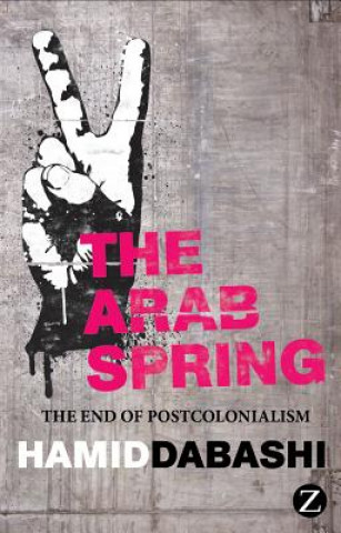 Kniha Arab Spring Hamid Dabashi