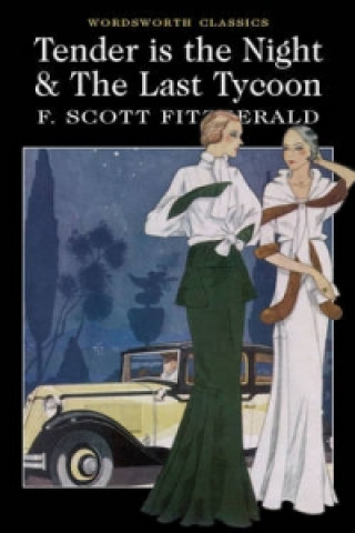Kniha Tender is the Night / The Last Tycoon Francis Scott Fitzgerald