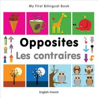 Könyv My First Bilingual Book -  Opposites (English-French) Milet Publishing