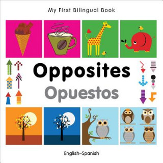 Könyv My First Bilingual Book -  Opposites (English-Spanish) Milet Publishing