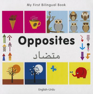 Kniha My First Bilingual Book - Opposites: English-Urdu 