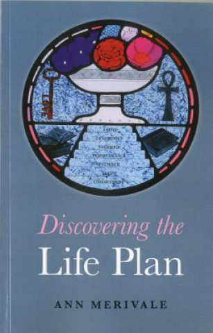 Книга Discovering the Life Plan Ann Merivale