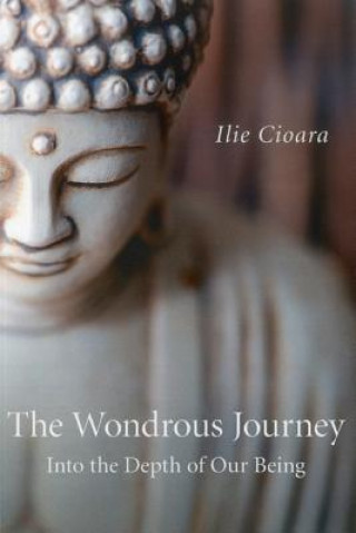 Kniha Wondrous Journey Ilie Cioara