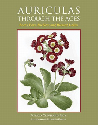 Buch Auriculas through the Ages Patricia Cleveland-Peck