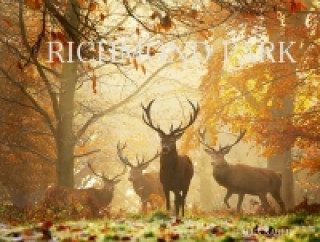 Livre Richmond Park Alex Saberi