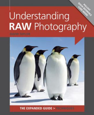Kniha Understanding RAW Photography David Taylor