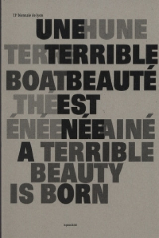 Carte 11th Lyon Biennale - A Terrible Beauty is Born 