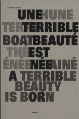 Kniha 11th Lyon Biennale - A Terrible Beauty is Born 