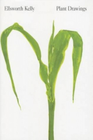 Kniha Ellswoth Kelly: Plant Drawings Michael Semff
