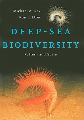 Kniha Deep-Sea Biodiversity Michael A Rex