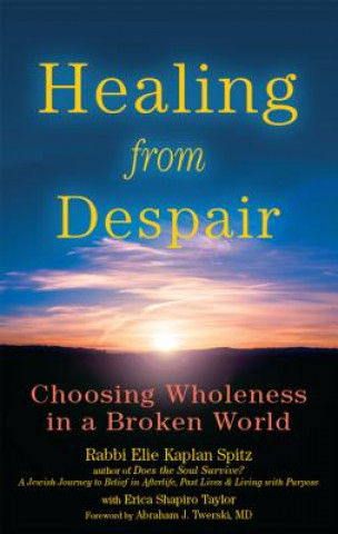 Könyv Healing from Despair Elie Kaplan Spitz