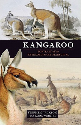 Kniha Kangaroo Stephen Jackson