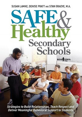 Kniha Safe & Healthy Secondary Schools Susan Lamke
