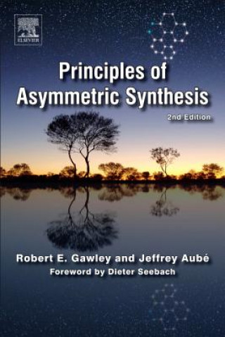 Książka Principles of Asymmetric Synthesis Robert Gawley