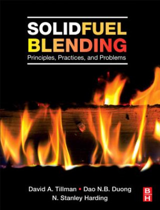 Knjiga Solid Fuel Blending David Tillman
