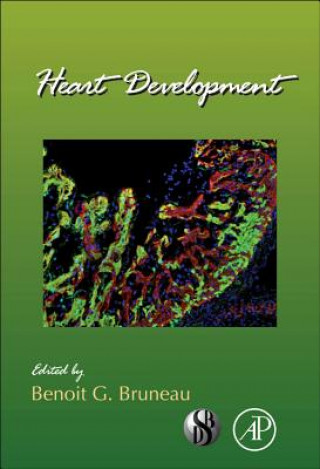 Knjiga Heart Development Benoit Bruneau G