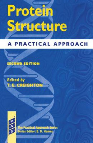 Kniha Protein Structure T E CREIGHTON