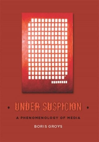 Buch Under Suspicion Groys