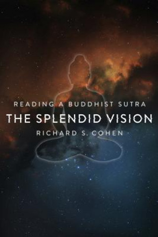 Libro Splendid Vision Cohen