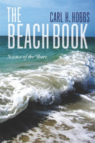 Könyv Beach Book Hobbs