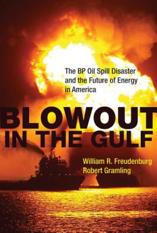 Kniha Blowout in the Gulf William R Freudenburg