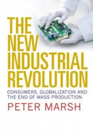 Kniha New Industrial Revolution Peter Marsh