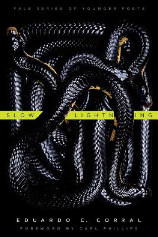 Buch Slow Lightning Eduardo C Corral