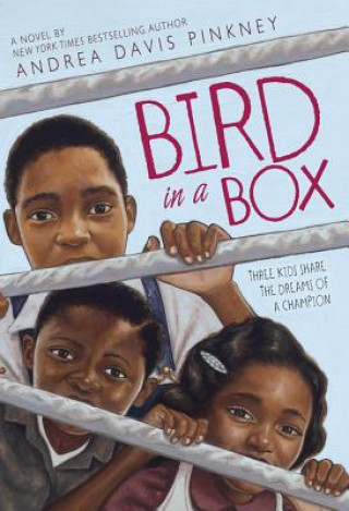 Kniha Bird in a Box Andrea Davis Pinkney