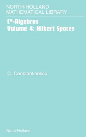 Carte Hilbert Spaces Constantinescu