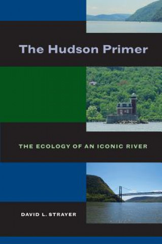 Libro Hudson Primer David L Strayer