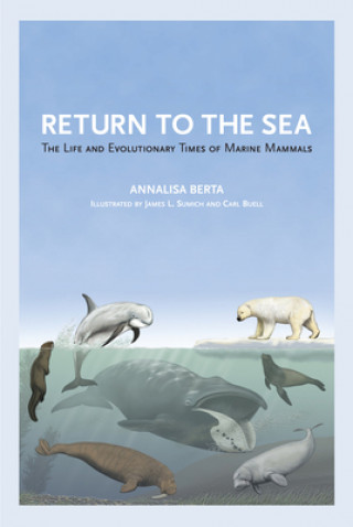 Kniha Return to the Sea Annalisa Berta