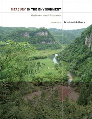 Kniha Mercury in the Environment Michael S Bank