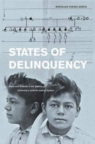 Kniha States of Delinquency Miroslava Chavez-Garcia