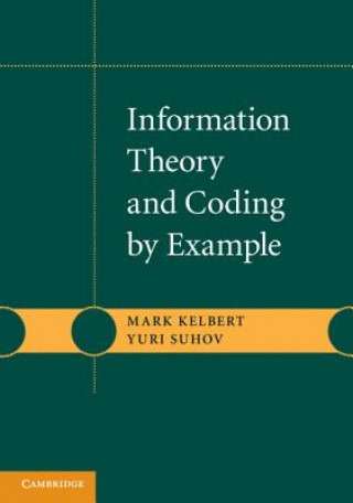 Carte Information Theory and Coding by Example Yuri Suhov