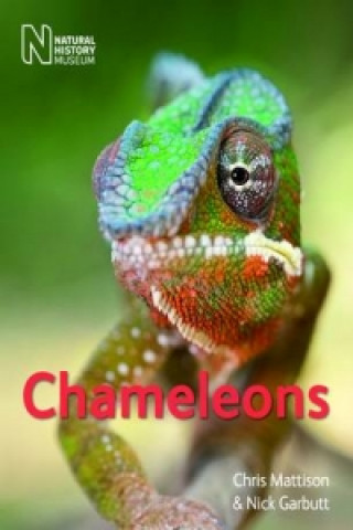 Książka Chameleons Chris Mattison