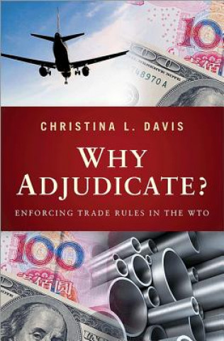 Carte Why Adjudicate? Davis