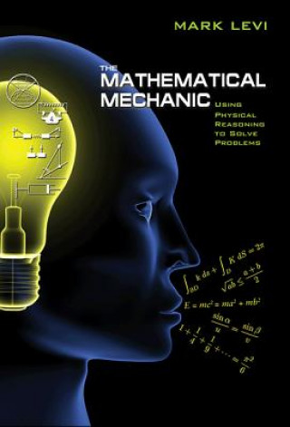 Knjiga Mathematical Mechanic Levi