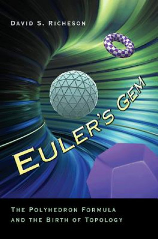 Kniha Euler's Gem Richeson