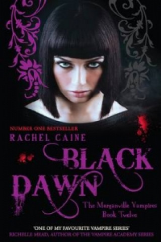 Книга Black Dawn Rachel Caine