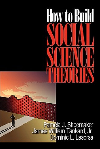 Book How to Build Social Science Theories Dominic Lasorsa
