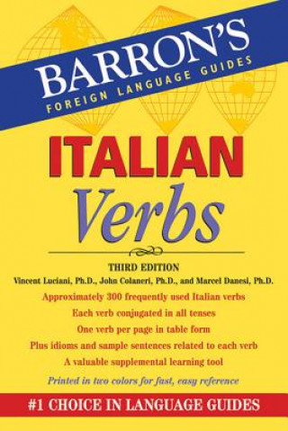 Kniha Italian Verbs Vincent Luciani